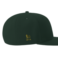 Chosen Snapback Embroidery Cap | 1 Peter 2:9 Christian Streetwear | Wear Your Heart - Wear Your Heart